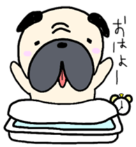 pugggggggg sticker #9681032