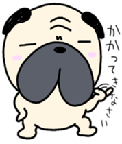 pugggggggg sticker #9681035