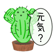 Question full of cactus sticker #9681520