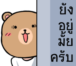 Bear face Merchant sticker #9685296