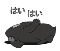 It's GORILLA! sticker #9688434