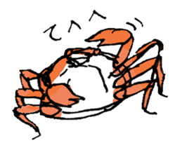 crustacea sticker #9689994