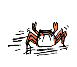 crustacea sticker #9690018