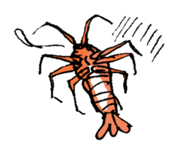 crustacea sticker #9690022