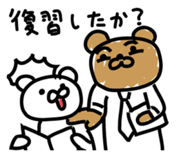 Bear seminar luxurious lecturers sticker #9690044