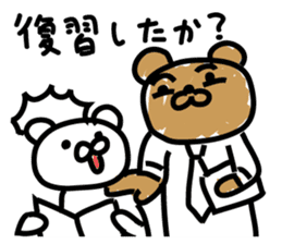 Bear seminar luxurious lecturers sticker #9690044