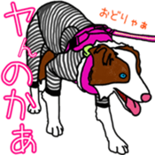 Viva! ChickenBoy! sticker #9692070