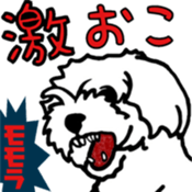 Viva! ChickenBoy! sticker #9692082