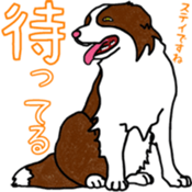 Viva! ChickenBoy! sticker #9692089