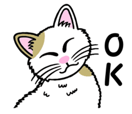 I am a cat.Thank you.4!(English) sticker #9693116