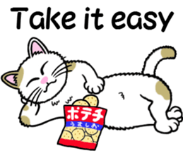 I am a cat.Thank you.4!(English) sticker #9693117
