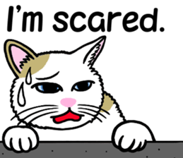 I am a cat.Thank you.4!(English) sticker #9693122