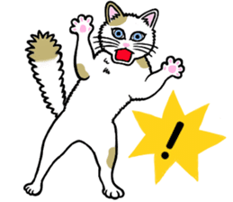 I am a cat.Thank you.4!(English) sticker #9693125
