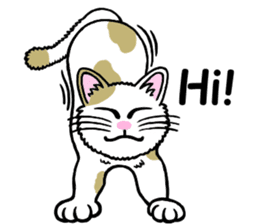 I am a cat.Thank you.4!(English) sticker #9693130