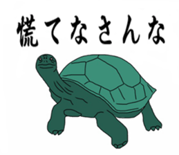 Cheeky animal sticker sticker #9694254
