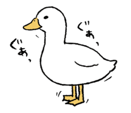 real duck sticker #9697008