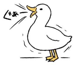 real duck sticker #9697012