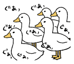 real duck sticker #9697017