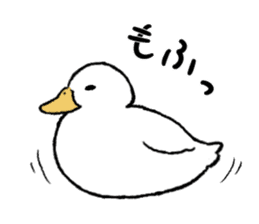 real duck sticker #9697021