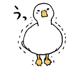 real duck sticker #9697022