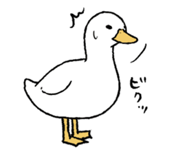 real duck sticker #9697024