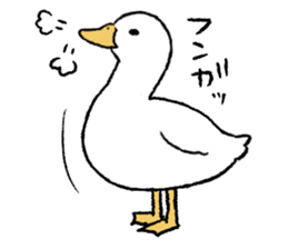 real duck sticker #9697026