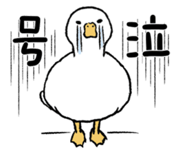 real duck sticker #9697027