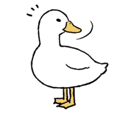 real duck sticker #9697028