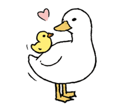 real duck sticker #9697029