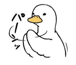 real duck sticker #9697034