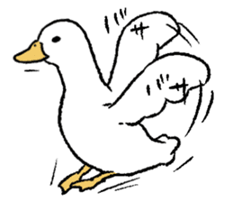 real duck sticker #9697036