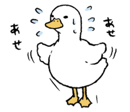 real duck sticker #9697037