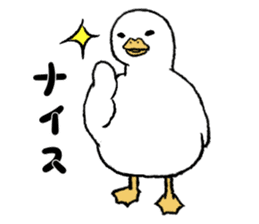 real duck sticker #9697038