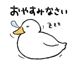 real duck sticker #9697040