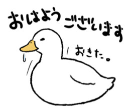 real duck sticker #9697041