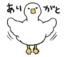 real duck sticker #9697042