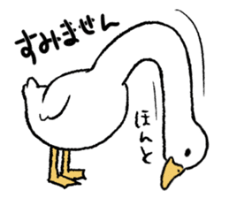 real duck sticker #9697043