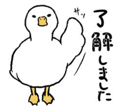 real duck sticker #9697044