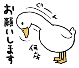 real duck sticker #9697045