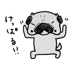 hokkaido pug sticker sticker #9697975