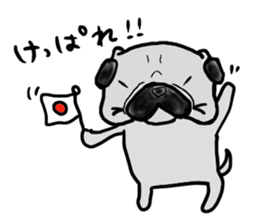 hokkaido pug sticker sticker #9697976