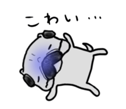 hokkaido pug sticker sticker #9697979