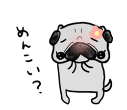 hokkaido pug sticker sticker #9697981