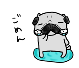 hokkaido pug sticker sticker #9697984