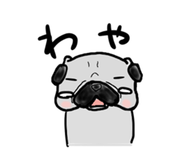 hokkaido pug sticker sticker #9697990