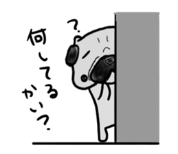 hokkaido pug sticker sticker #9697991