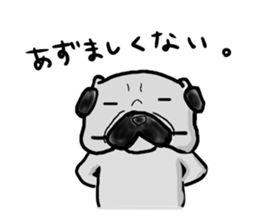 hokkaido pug sticker sticker #9697994