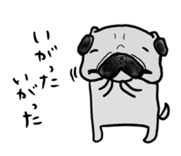 hokkaido pug sticker sticker #9697997