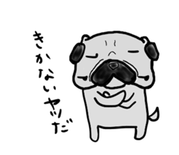 hokkaido pug sticker sticker #9697998