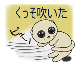 Lop-eared cat,SCO.in winter. sticker #9701865